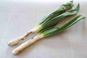 下仁田ねぎのマリネ